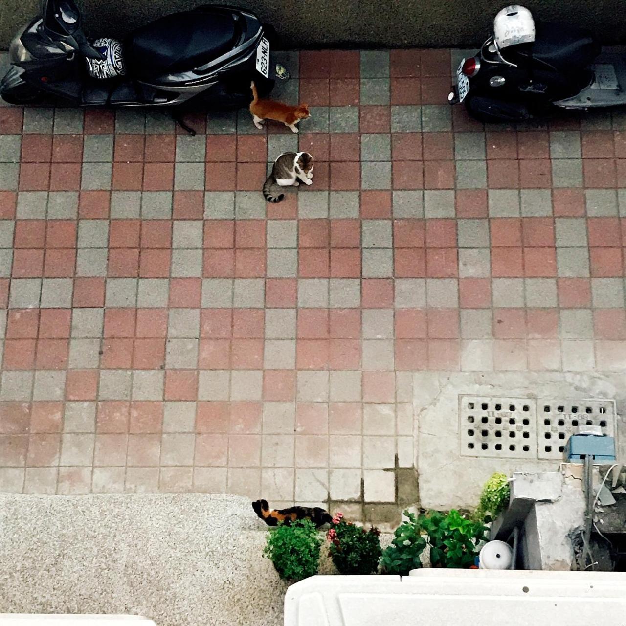 A Fat At Home Tainan Eksteriør bilde